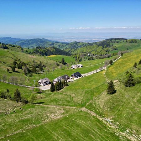 View House, Schauinsland, Black Forest Muenstertal Ngoại thất bức ảnh