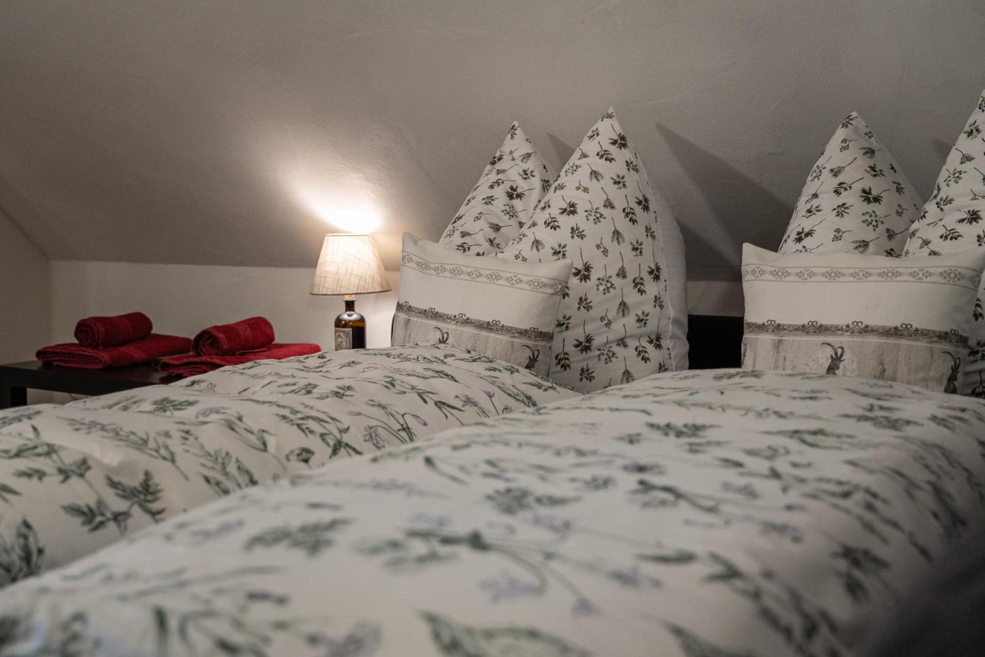 View House, Schauinsland, Black Forest Muenstertal Ngoại thất bức ảnh