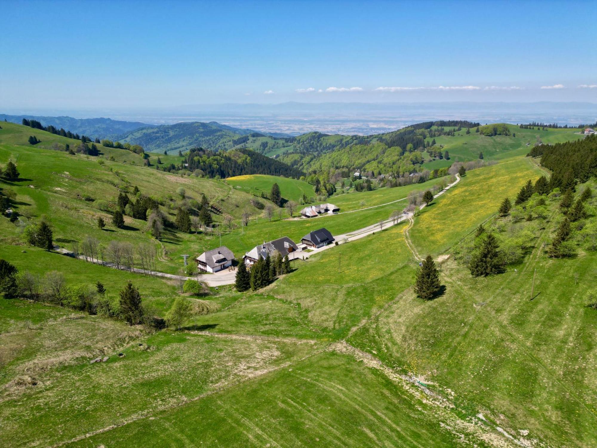 View House, Schauinsland, Black Forest Muenstertal Ngoại thất bức ảnh